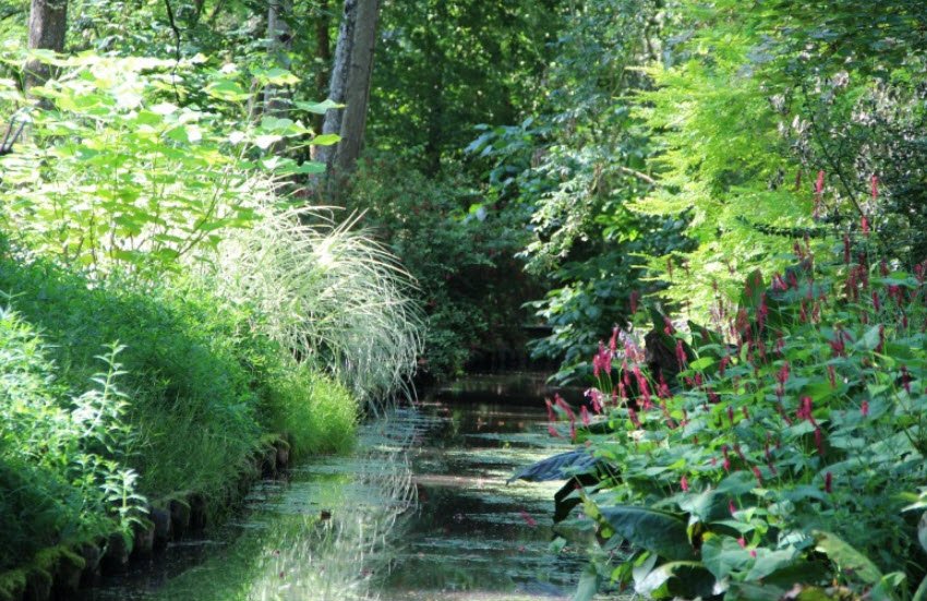 Arboretum des prés-des-culands, Meung-sur-Loire, France, France